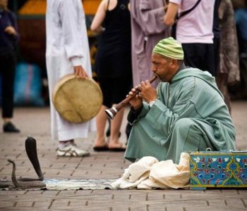 serpent-jamaa-el-fnaa-marrakech